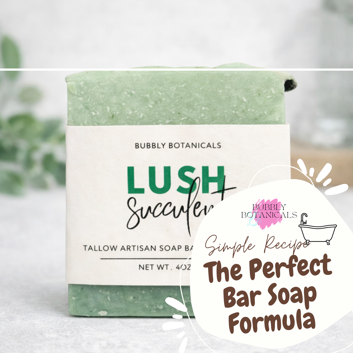 Bar of soap with packaging labeled 'Bubbly Botanicals Lush Succulent' on a white background.