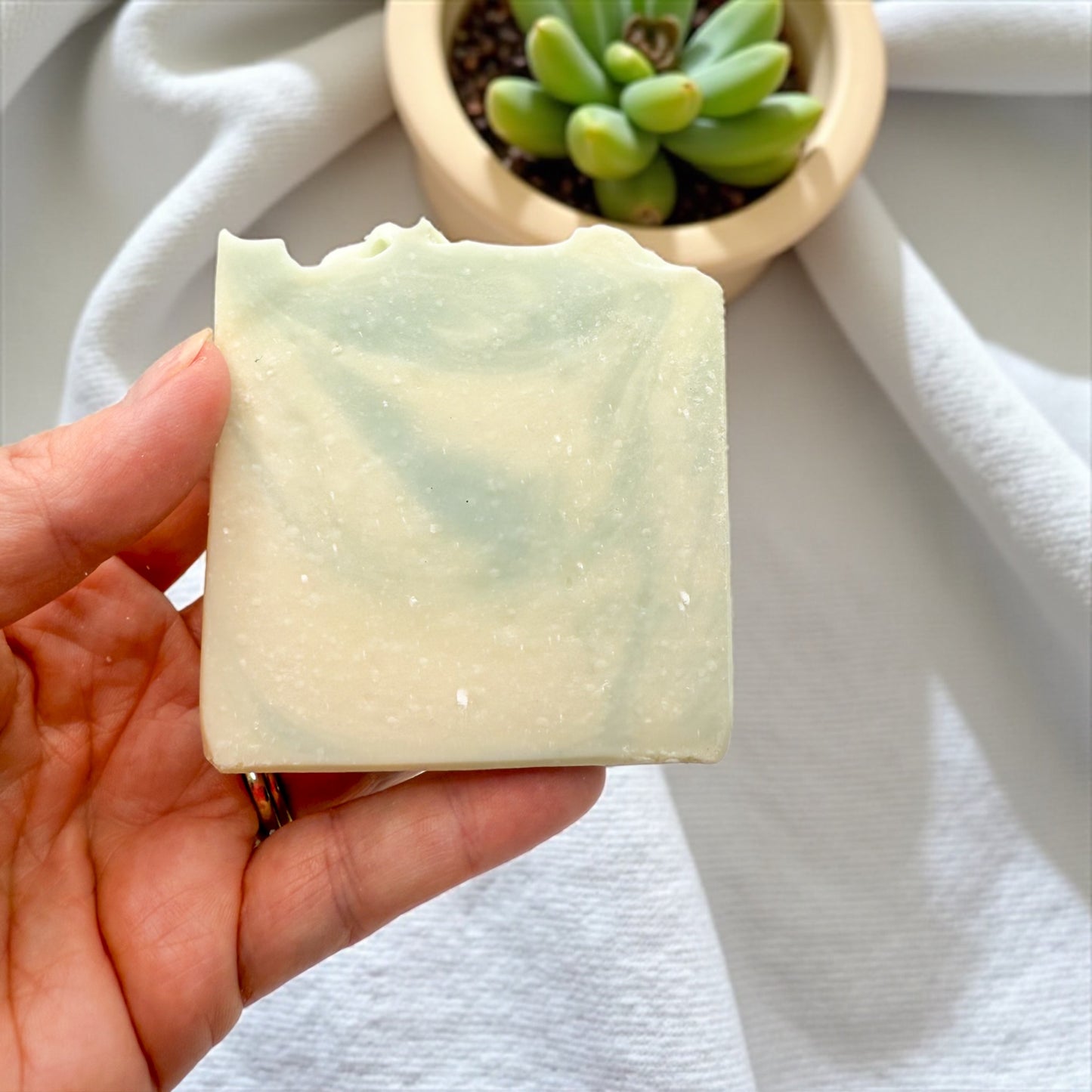 Cozy cashmere & linen tallow soap being held above a linen cloth with a succulent in the background. The soap is green and white swirled