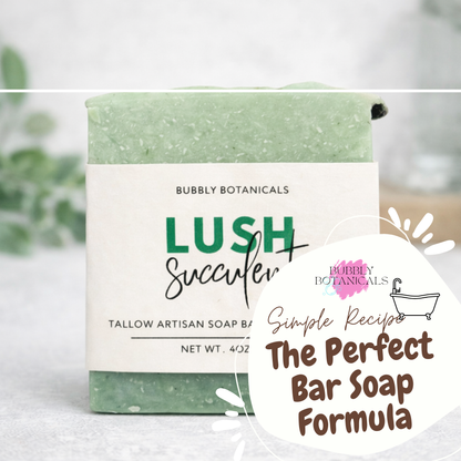 Bar of soap with packaging labeled 'Bubbly Botanicals Lush Succulent' on a white background.