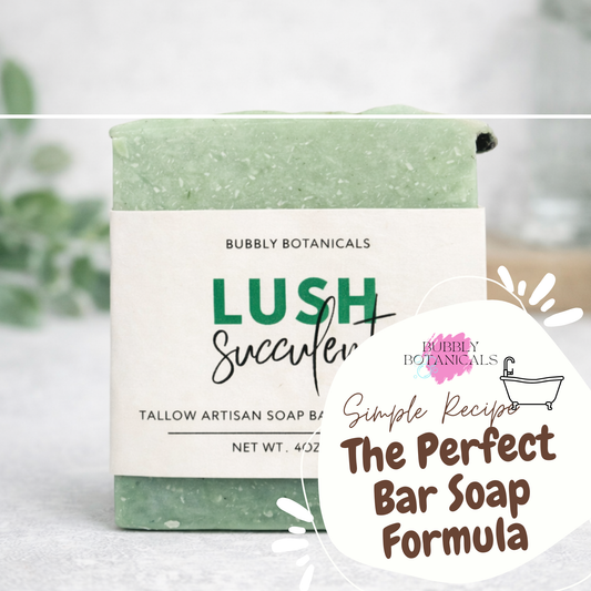 Bar of soap with packaging labeled 'Bubbly Botanicals Lush Succulent' on a white background.