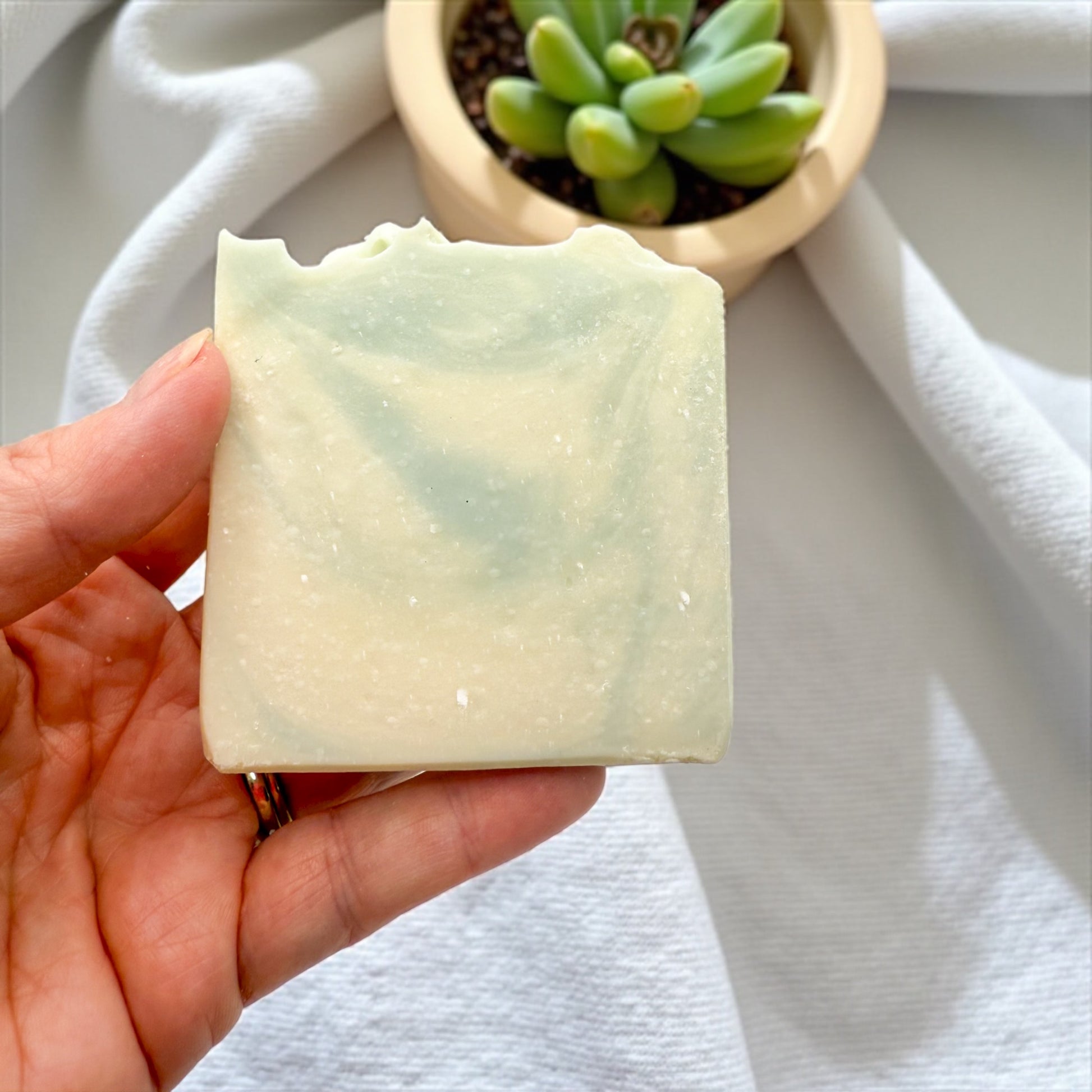 Cozy cashmere & linen tallow soap being held above a linen cloth with a succulent in the background. The soap is green and white swirled 