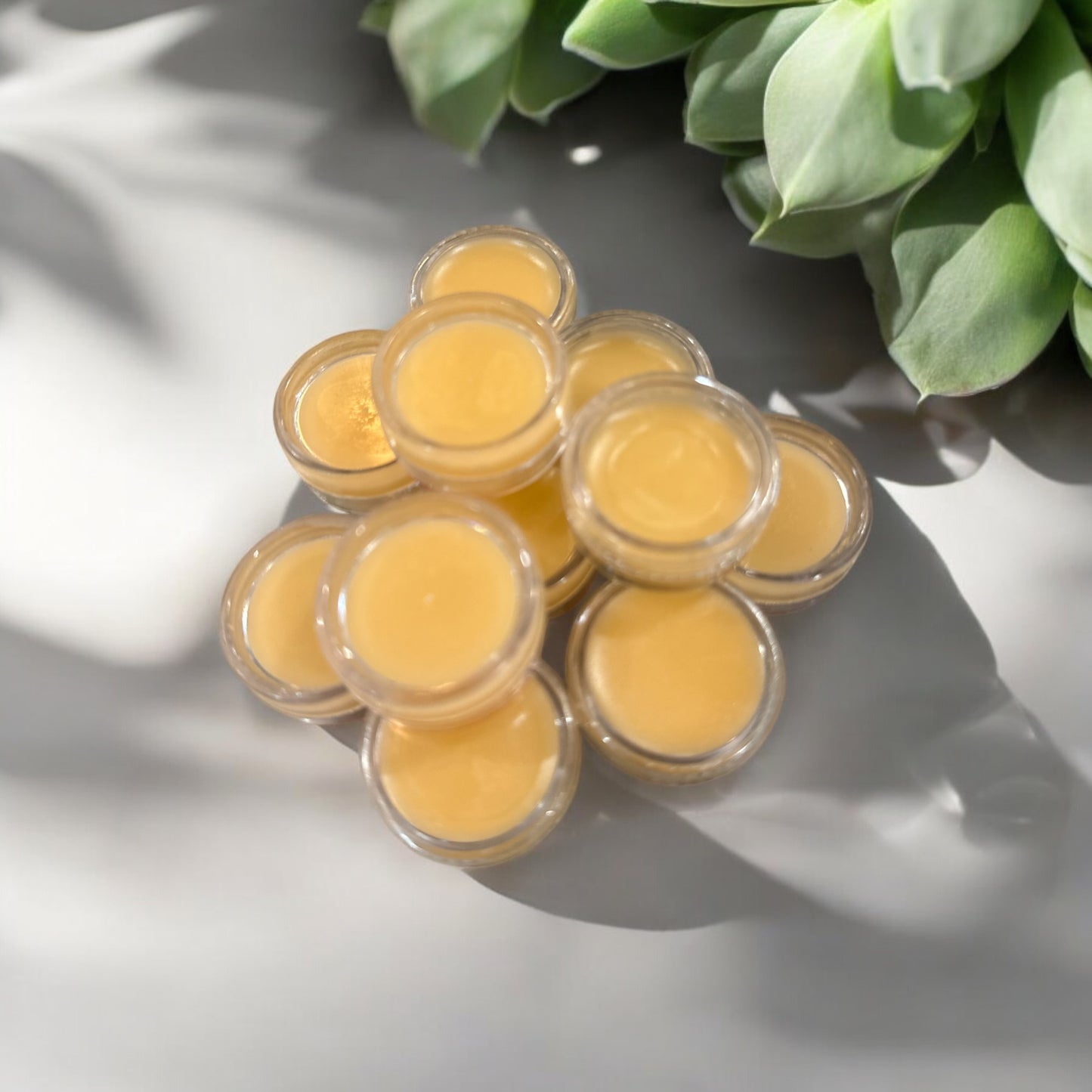 Vanilla Beeswax lip balm minis