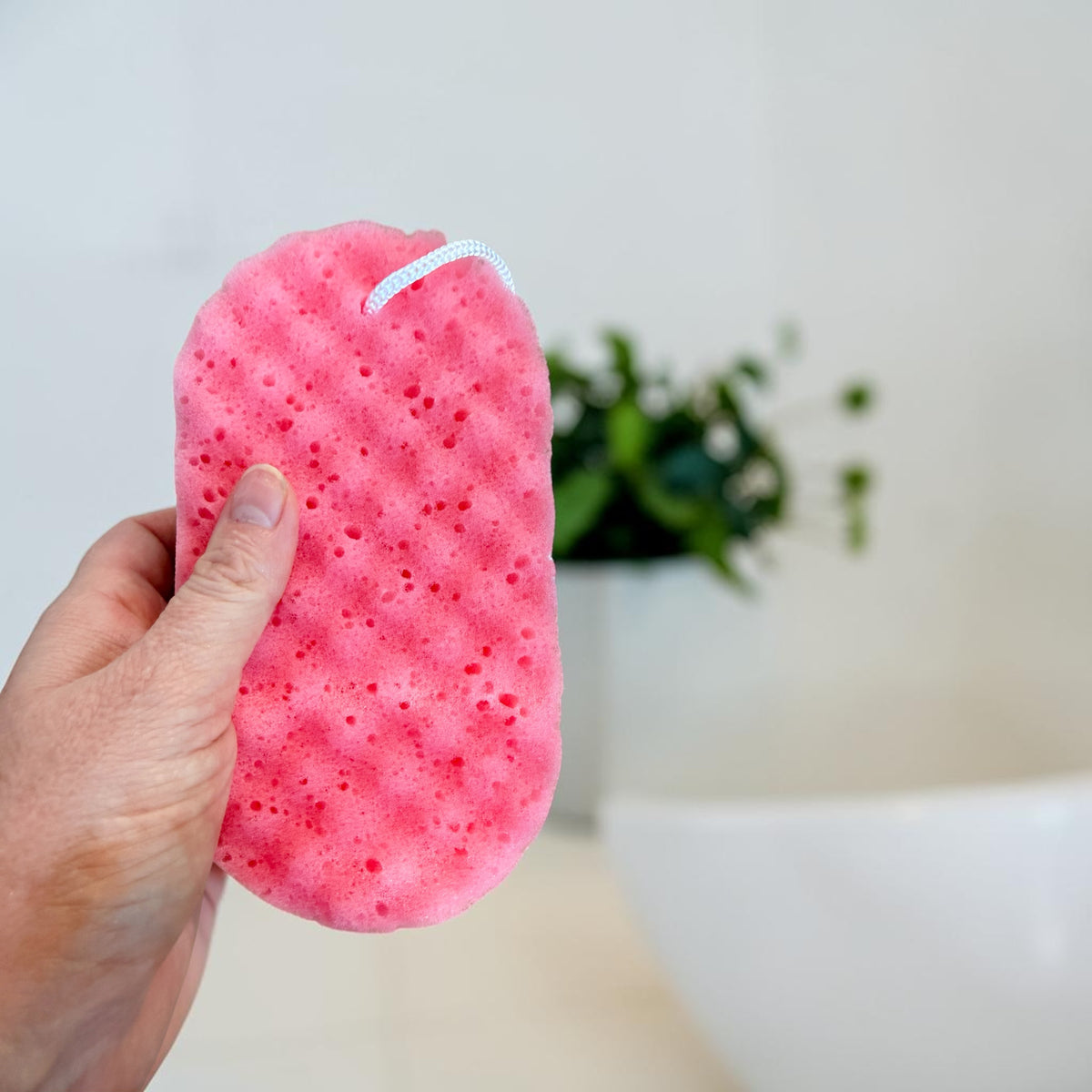 Goat Milk Soap Infused Sponge - Sweet Grace Type Scent | Lasts up to 6 weeks