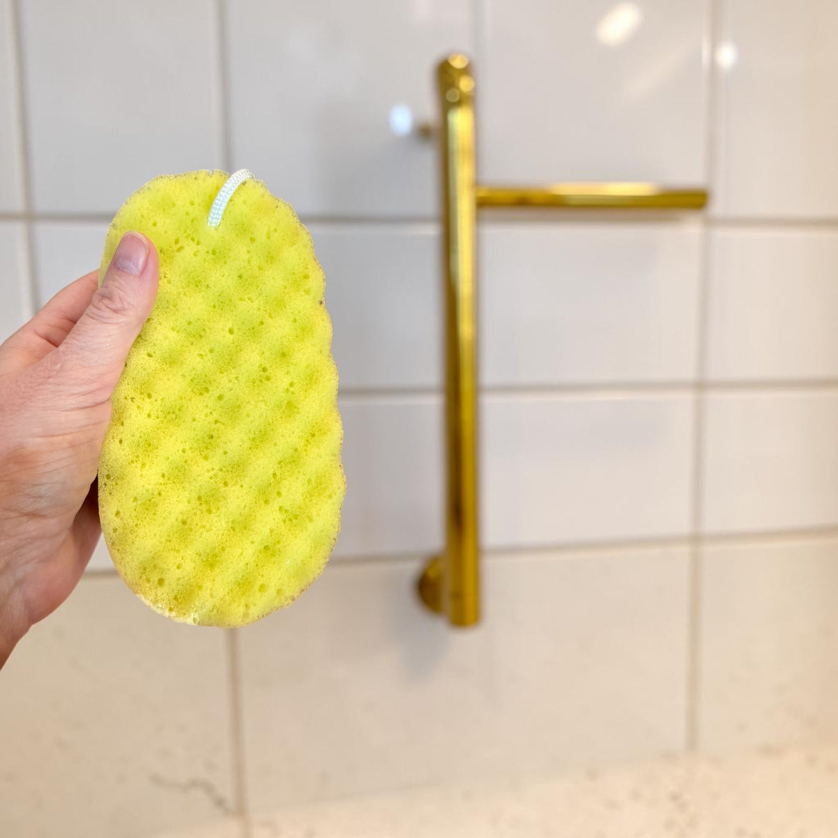 Goat Milk Soap Infused Sponge - Narcissist Type Scent | Lasts up to 6 weeks