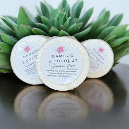 Three bamboo and coconut shampoo bars with green succulents in the background