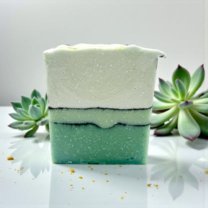 Green and white layered soap bar with succulents on a light background
