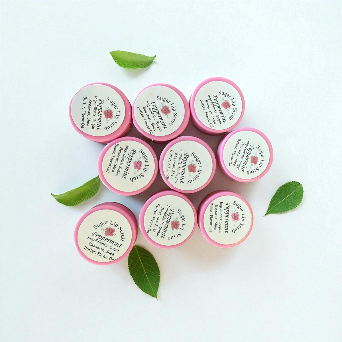 Sugar lip scrub jars by Bubbly Botanicals with green leaves